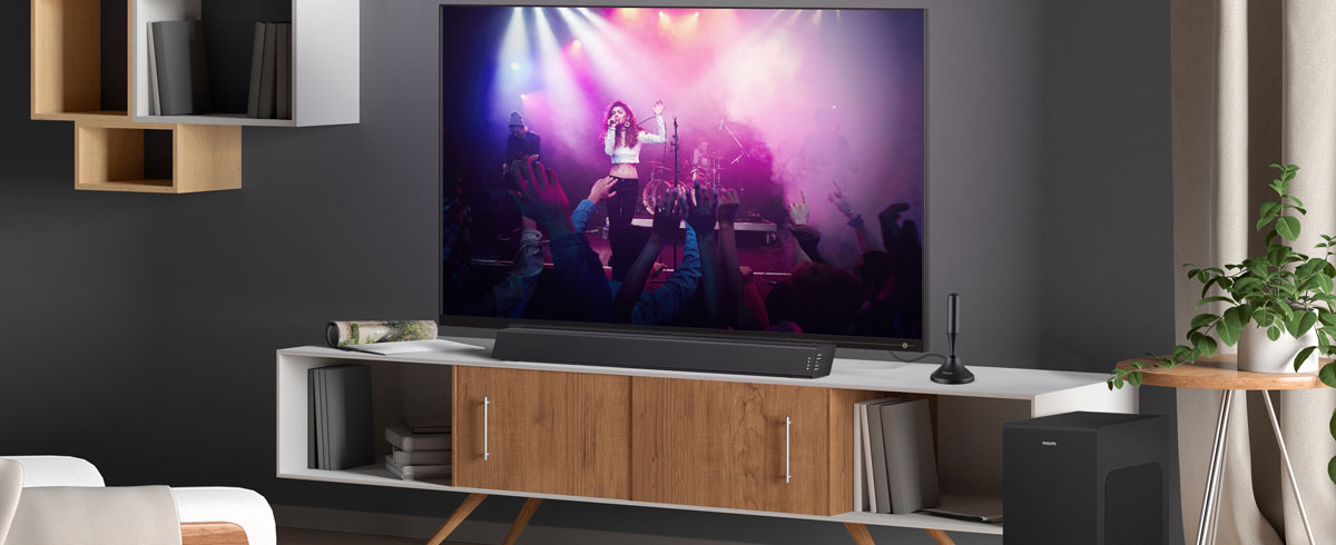 Uyumlu aksesuarlar ve şık mobilyalarla tamamlanan bir televizyonun bulunduğu modern bir oturma odası