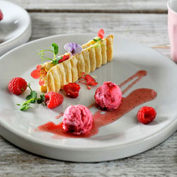 Ahududulu Yogurt Dondurma